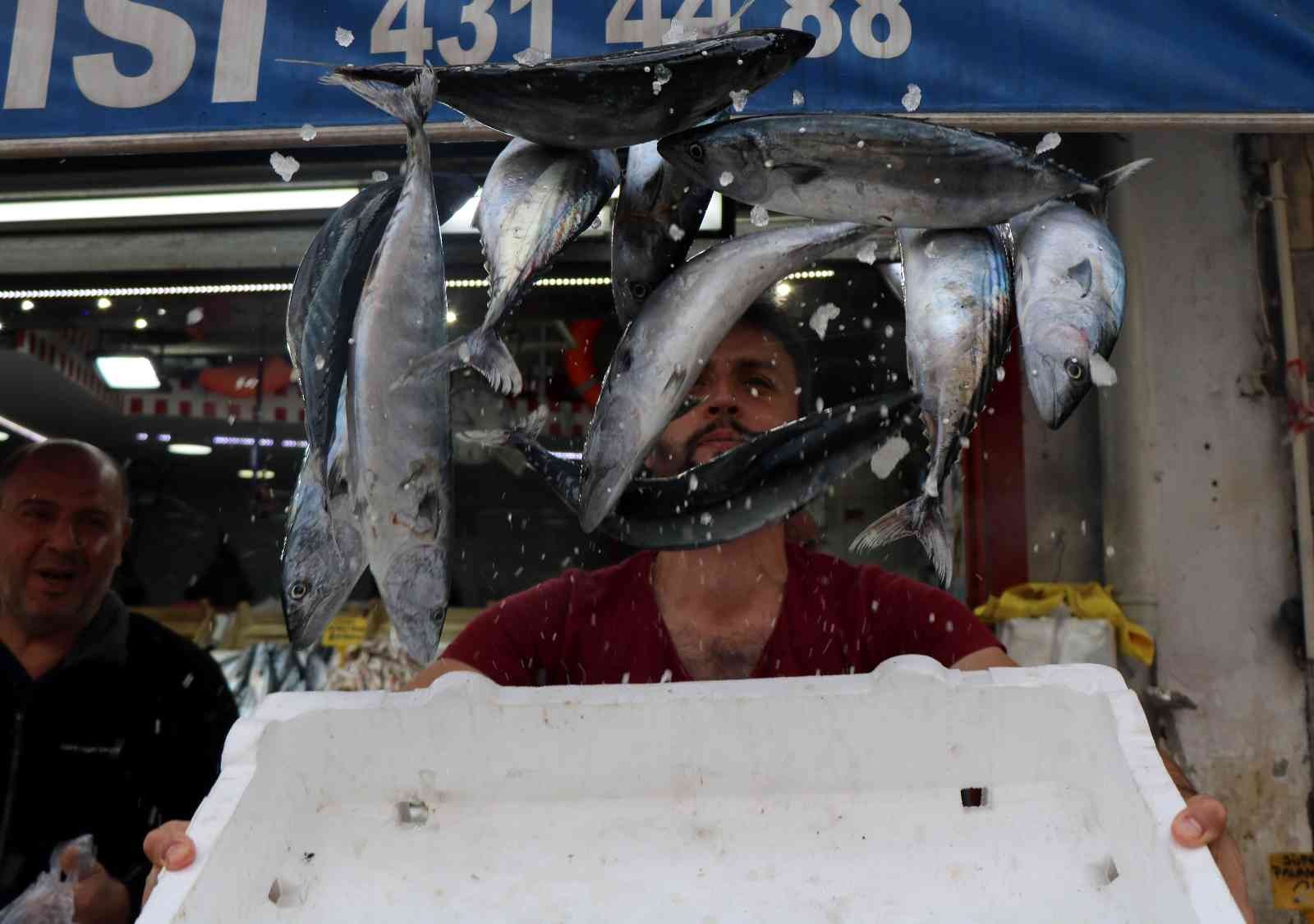 Karadeniz’de palamut ve çinekop patlaması