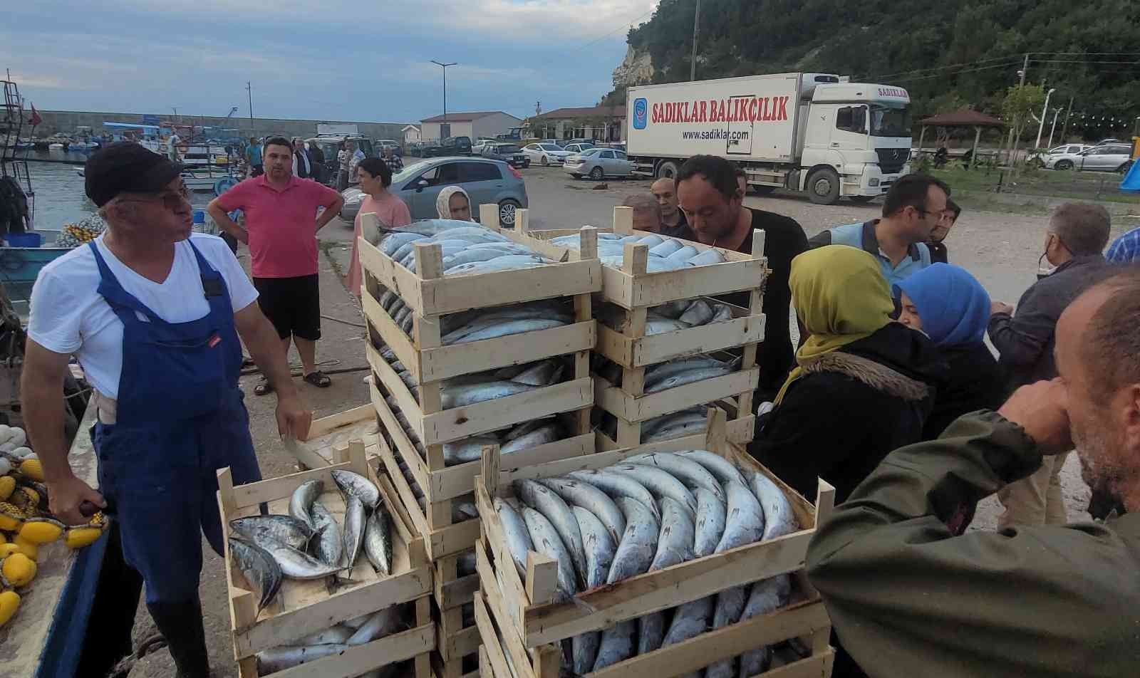 Kasa kasa palamut vatandaşlara ücretsiz dağıtıldı