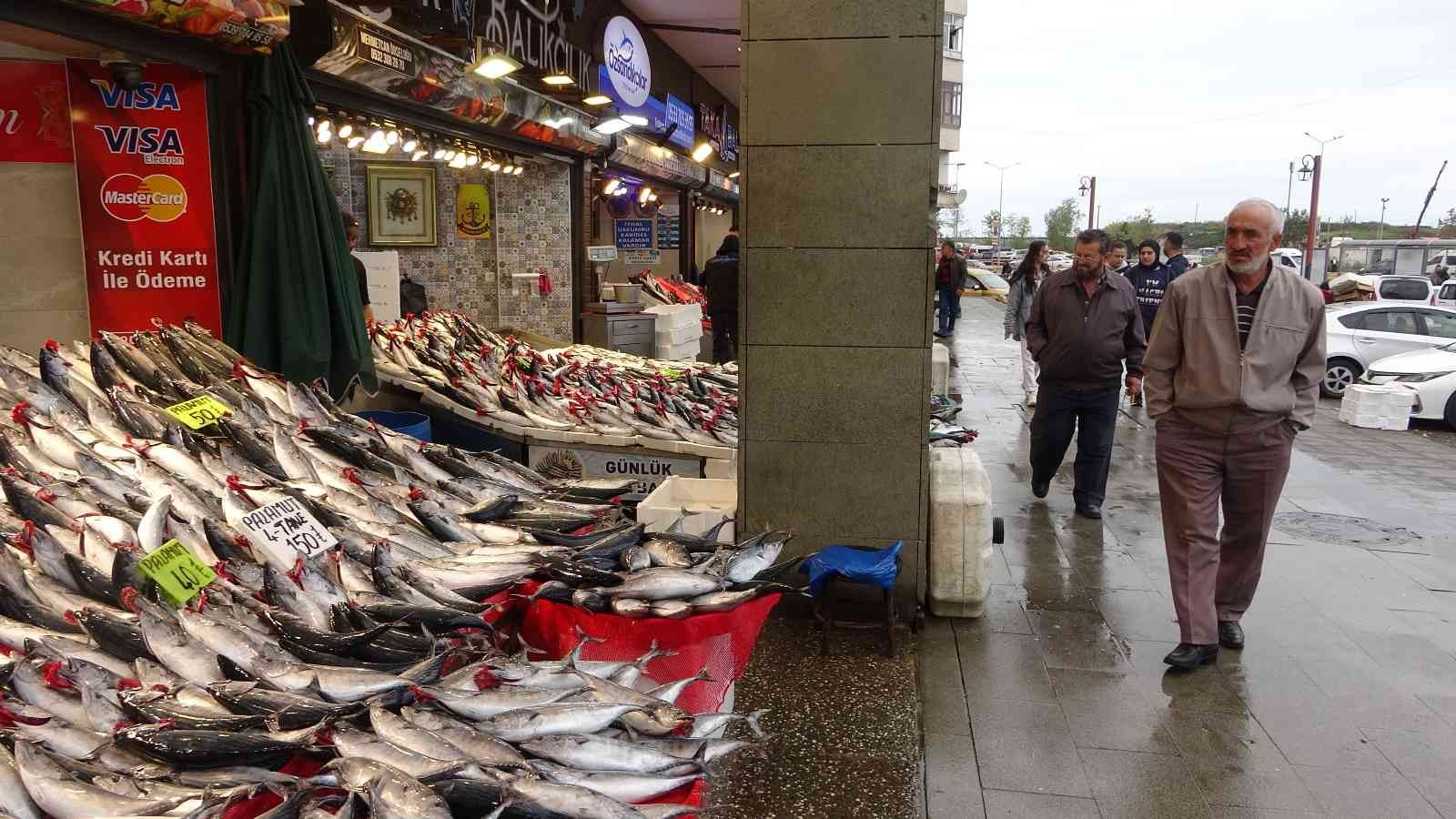 Palamut Doğu Karadeniz'e geçti, tezgahlar doldu