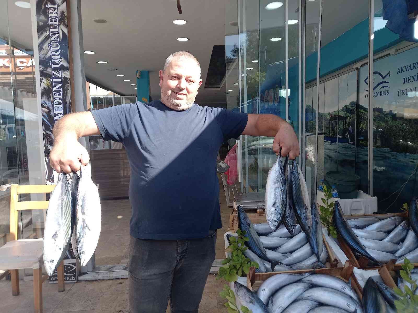 Karadeniz’deki palamut bolluğu Aydın’a yansıdı