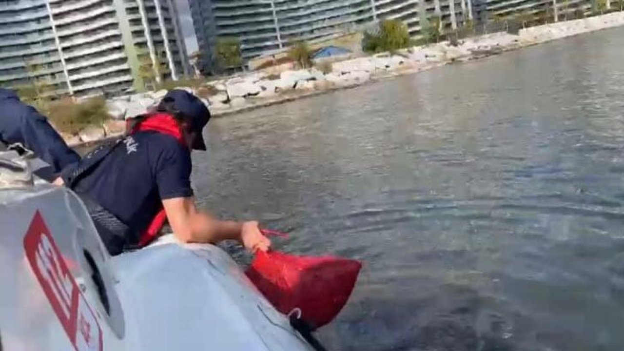 Marmara Denizi’nde yasadışı avcılık yapanlar suçüstü yakalandı