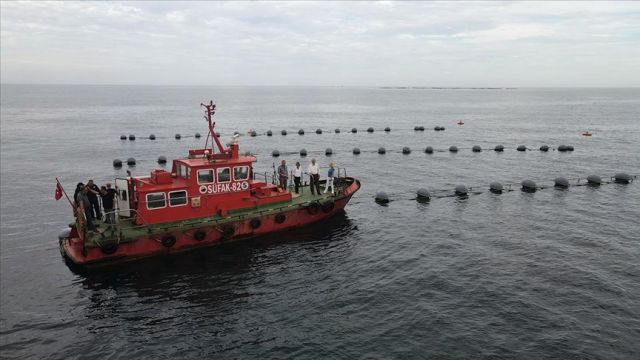 Karadeniz'de, Midye yetiştiriciliğinde verim araştırılıyor