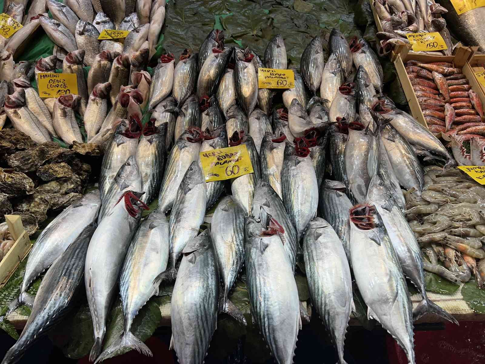 Tezgahlarda balık bolluğu devam ediyor