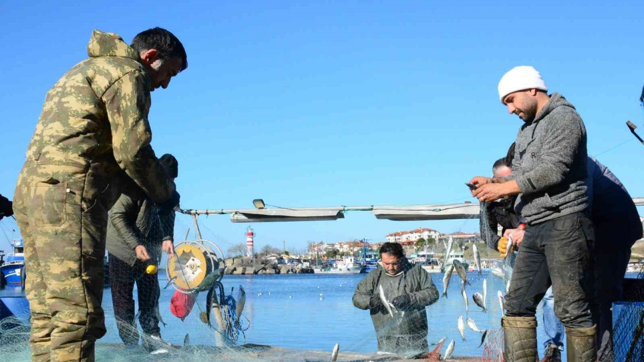 Çinekop, yeni yılın ilk ayında yüzleri güldürdü