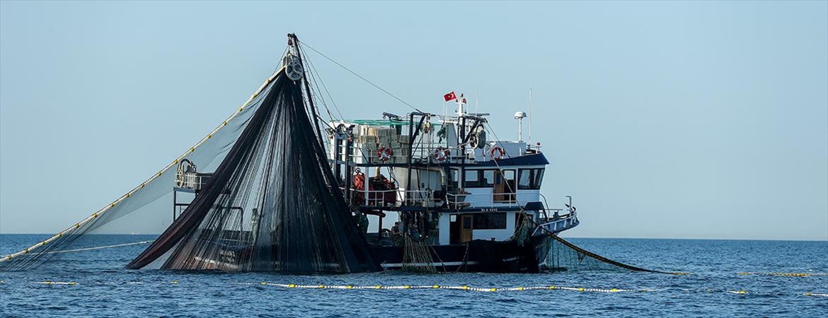 "BlackSea4Fish" projesi Karadeniz'de sürdürülebilir balıkçılığa rehber oluyor