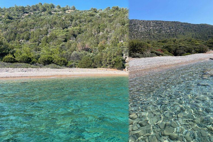 “Temiz Deniz” Bodrum sahillerini pırıl pırıl yaptı