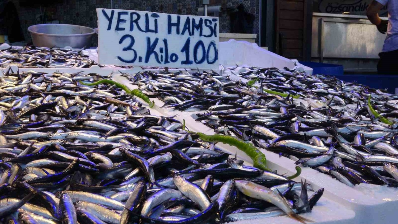 Trabzon’da yerli hamsinin 3 kilosu 100 liradan satılıyor