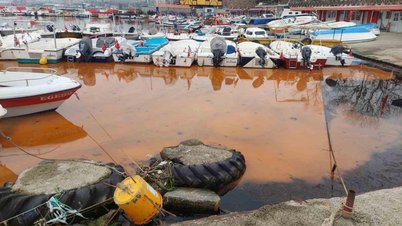 Marmara'da  turuncu renk ve denizanası istilası yayılıyor: 1 haftada 2 kat arttı