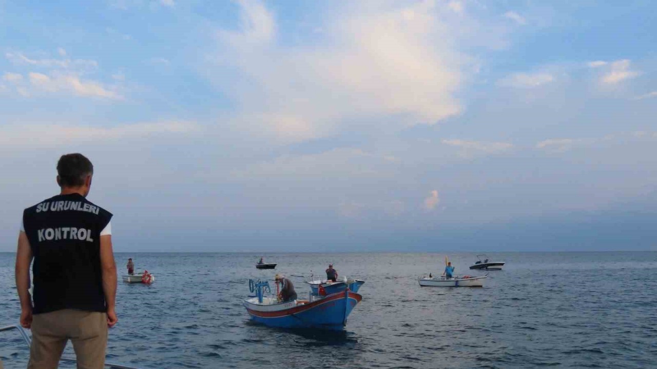 Trabzon’da palamut denetimi